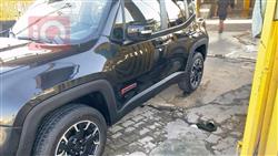 جيب رينيجيد